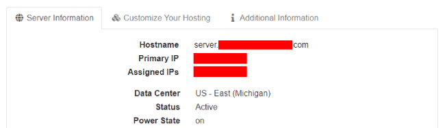 Unmanaged dedicated server server information tab